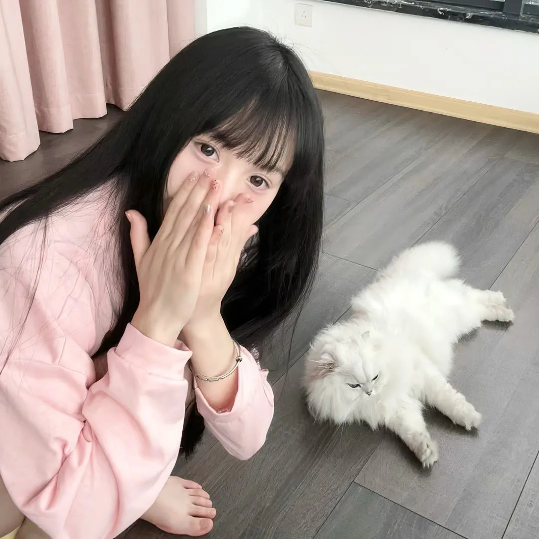 雪鹰